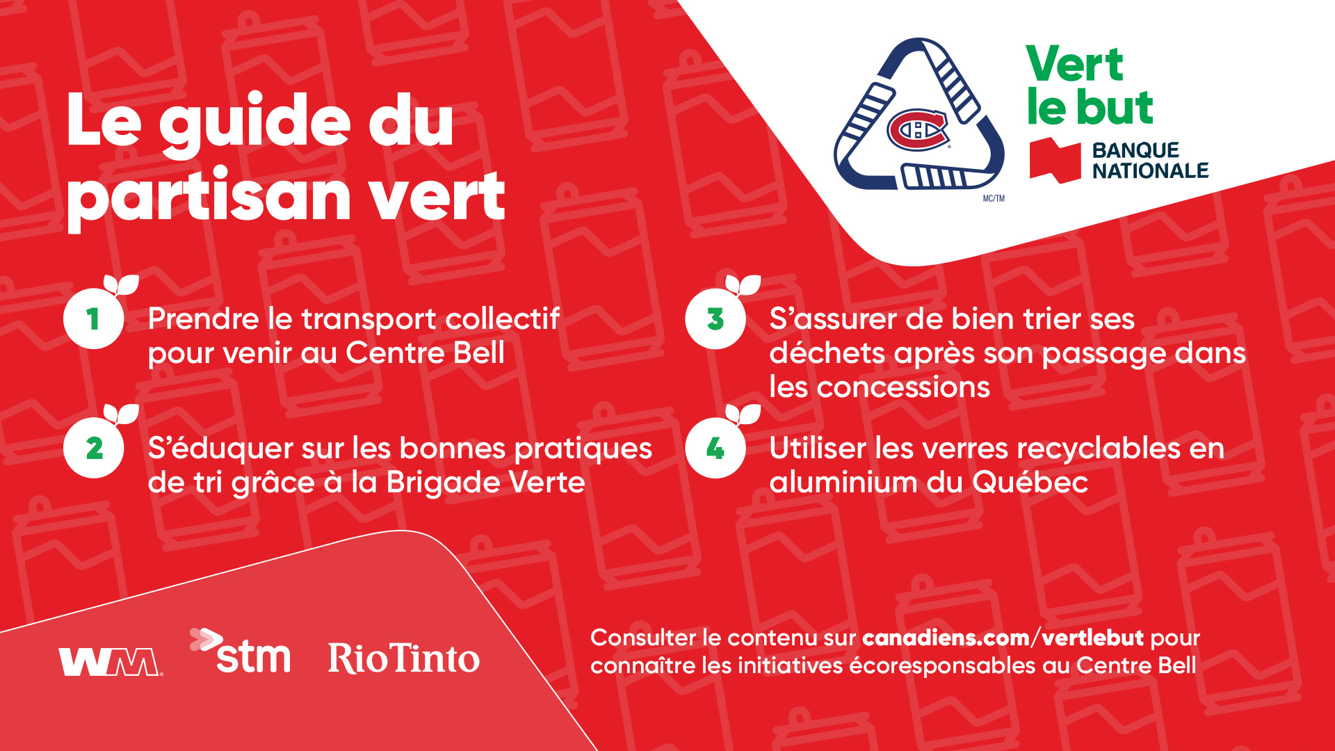Le Guide du Partisan Vert